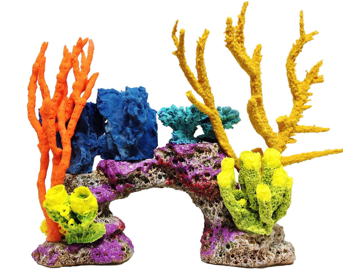 DIY Reef-Loc W-BB – RocknReefs Inc.